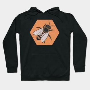 Honey Bee Hoodie